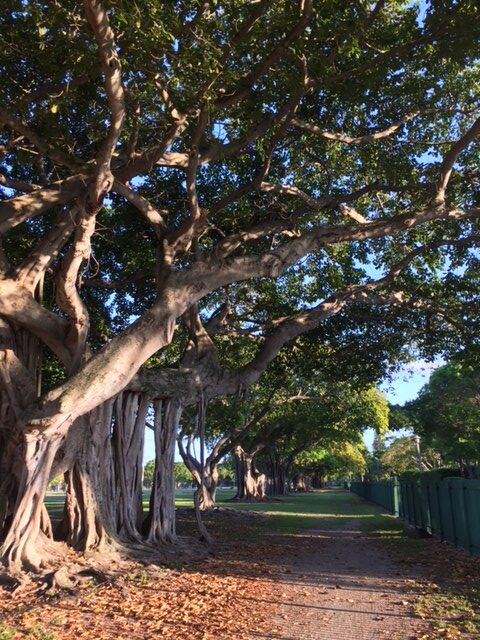 Take a family stroll on the weekends in Morningside Park, a great outdoor space near #BLVD57