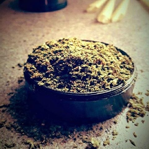 EstonKate's tweet photo. It feels good when you got so much weed it's overflowin https://t.co/XzYahTlSb4