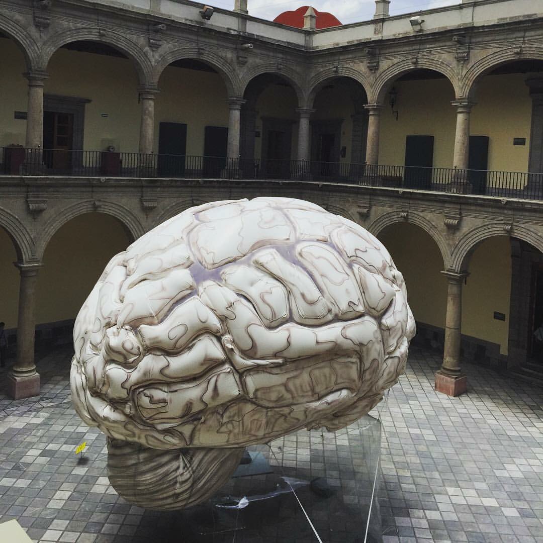 palaciomedicina's tweet photo. Recordando #FILUX2015, con el globo aereostático de Alejandro Rocha #aforonómada #alejandrorocha #cdmx https://t.co/fmA41HwSND