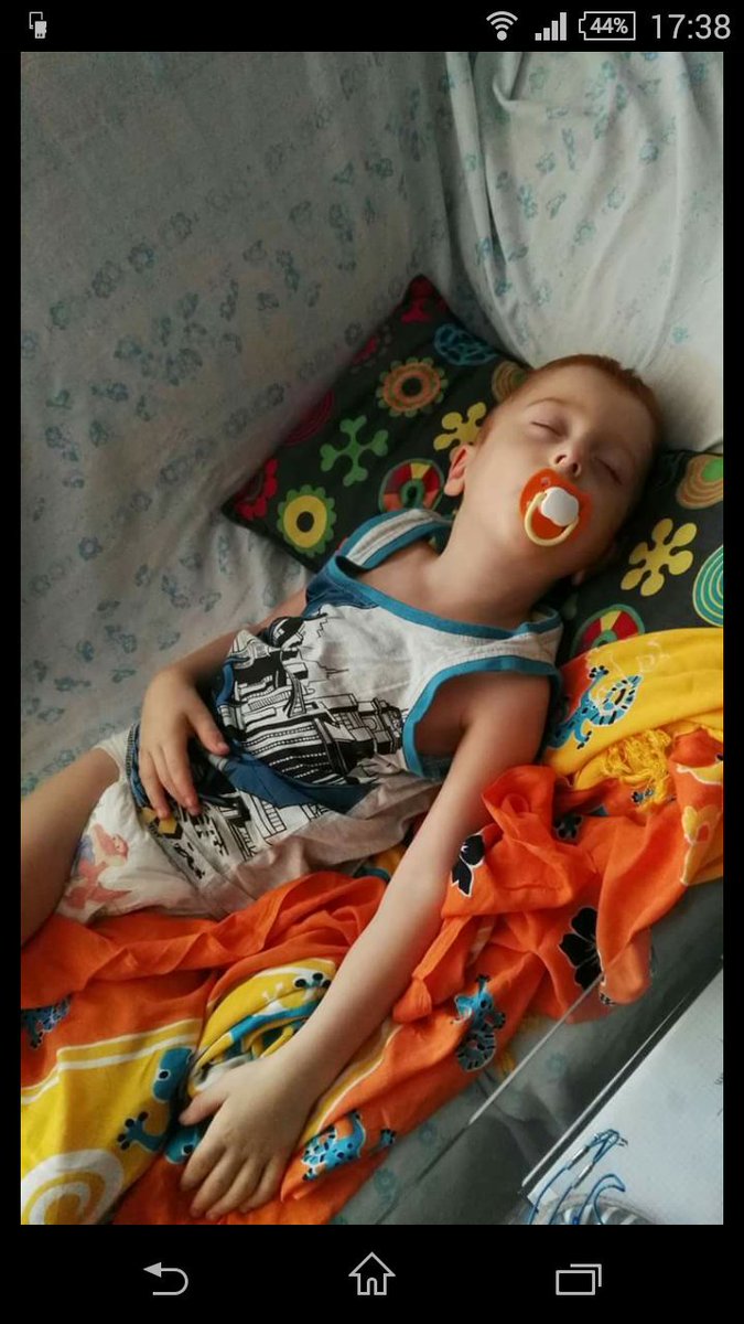 ElCaminoDeRuben's tweet photo. Siesta time!! #elcaminoderuben https://t.co/pHAoTYZhn2