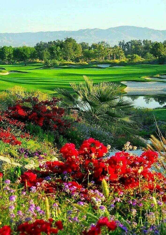 #ThursdayThoughts get out and play golf invite your friends #justdoit get going I will join you guys later 🌻🌬🌡🌞🐝😎🐜🎖