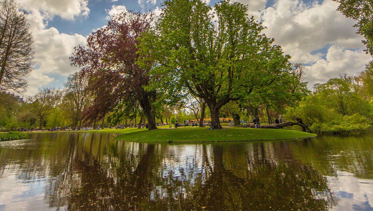 I amsterdam tweet media