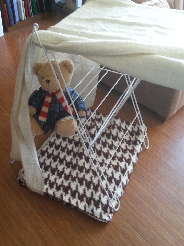Broke out my deluxe two tiered camping frame for the #teddybearscouts camp out (It's my humans clothes drying rack)!