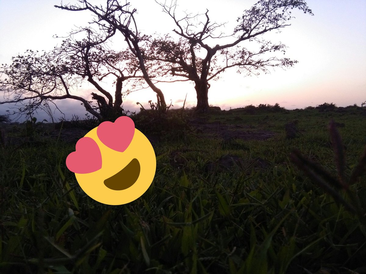 تصويري خريف صلاله #اليوم_العالمي_للتصوير