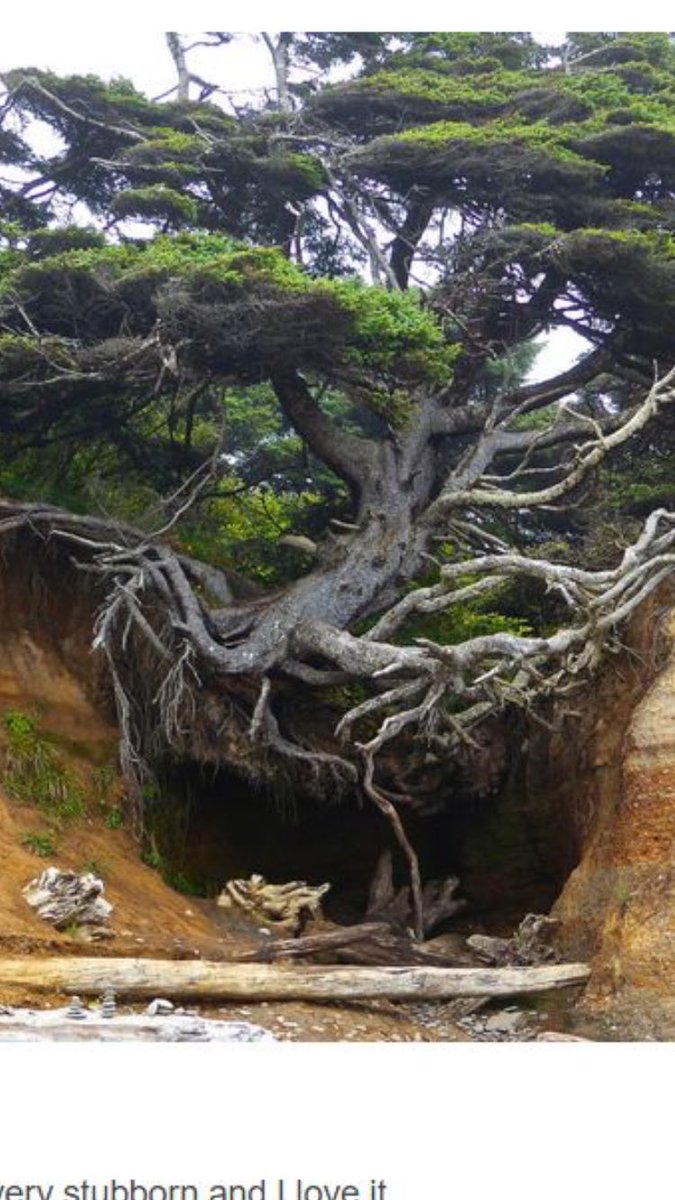 BacktoBasics tweet media