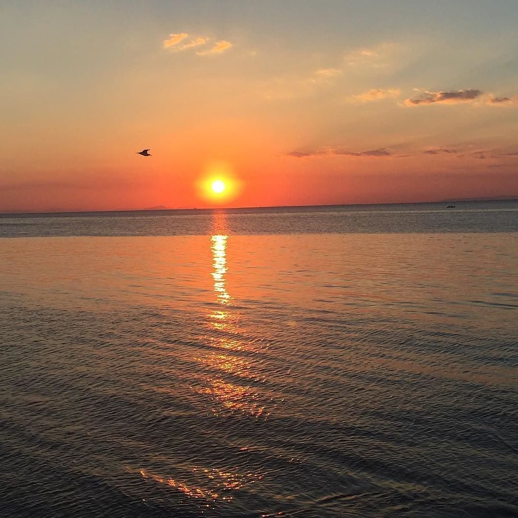 yerasimos's tweet photo. #nofilter #sunset #this_is_Patra #instapatra https://t.co/nOo06o9slx https://t.co/h4zQMwT0Ed