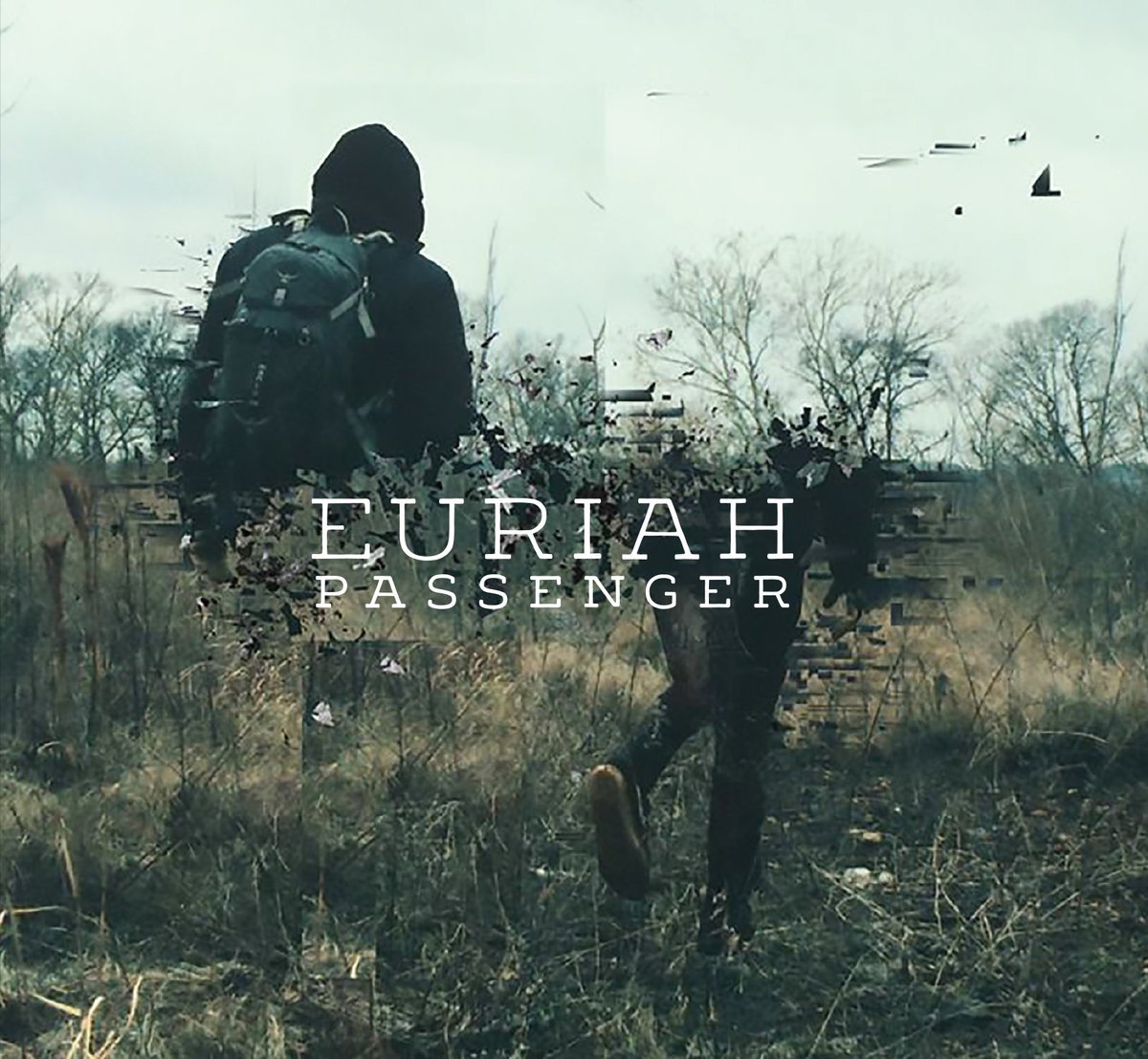 Our take on Champaign band Euriah's emotional sophomore release: ow.ly/8Tj5303E2ul