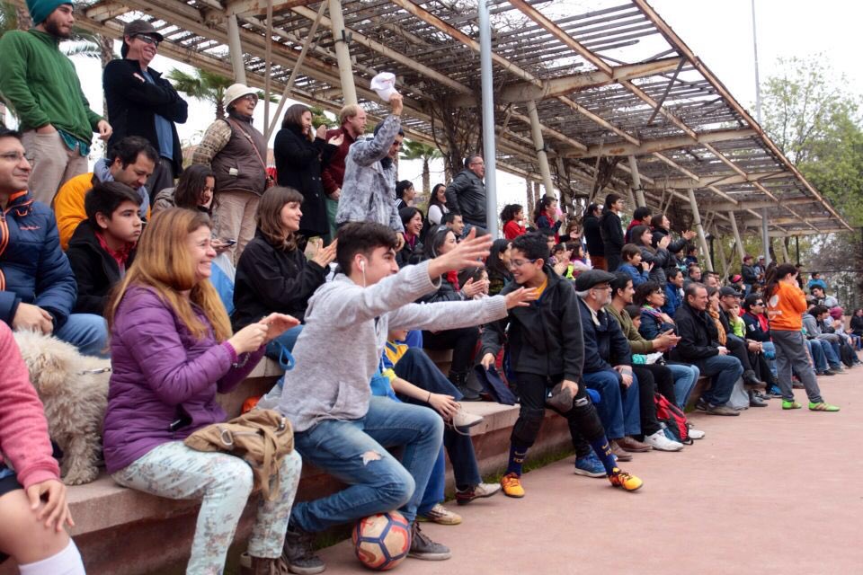 Muniprovi tweet media