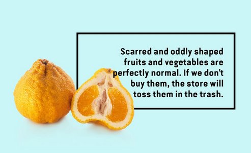 foodprintorg's tweet image. We opt for ugly produce - and you should, too! (Thanks, @SaveTheFood!)