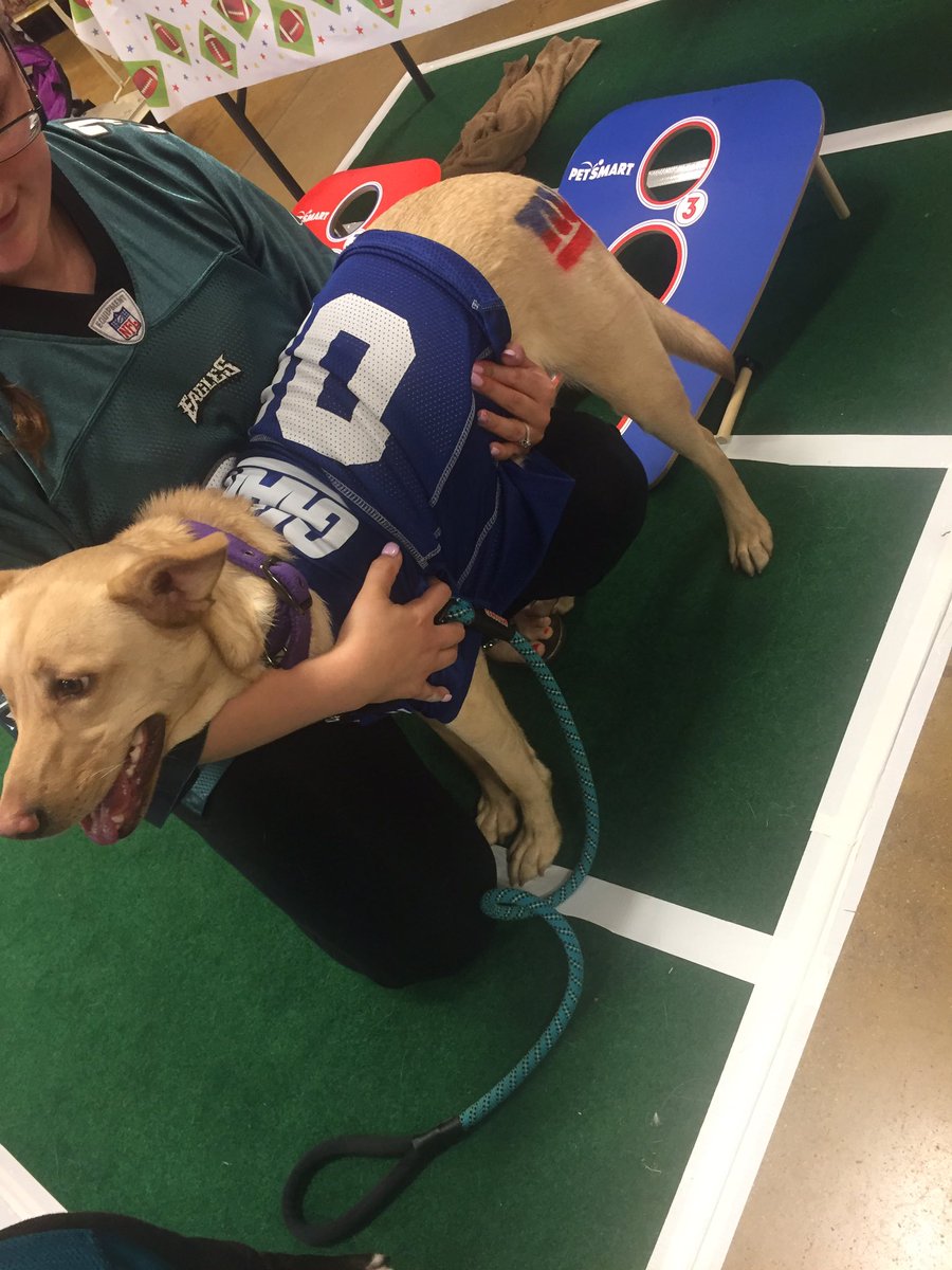 Ellie supporting the #NYGiants <a href="/ssklr11/">Kristie Reisenweaver</a> <a href="/nollski1/">Brian Noll</a> <a href="/angeljamespetm/">Angel James</a> <a href="/AvgtonyMy/">Anthony G.</a> #petsmart #tailgatingevent