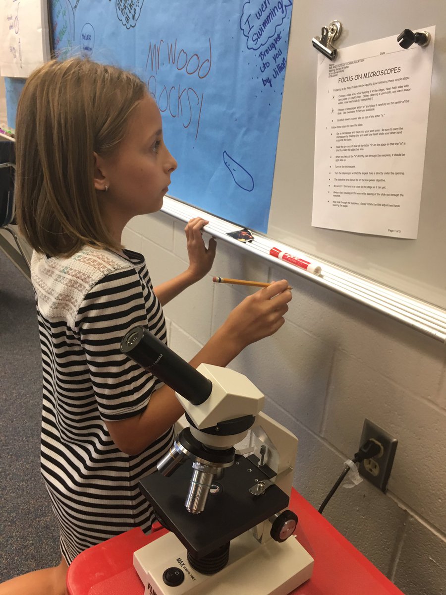 Scientist in action!