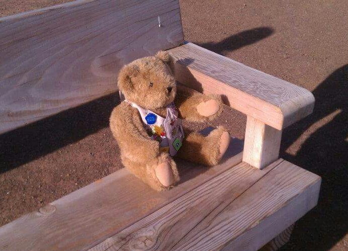 #TeddyBearScouts I'm just sitting here enjoying nature before we light the Camp Fire. 😊🔥🐻