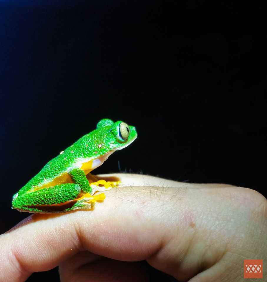 biomauro_rtg tweet picture