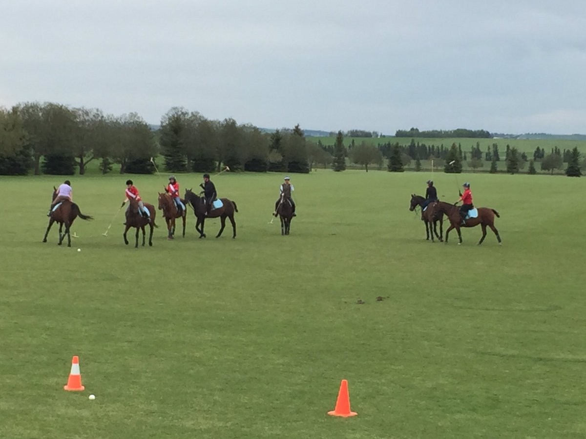 Scrimmaging with some fine chicks <a href="/calgarypoloclub/">Calgary Polo Club</a> this morning. Fantastic people and place.