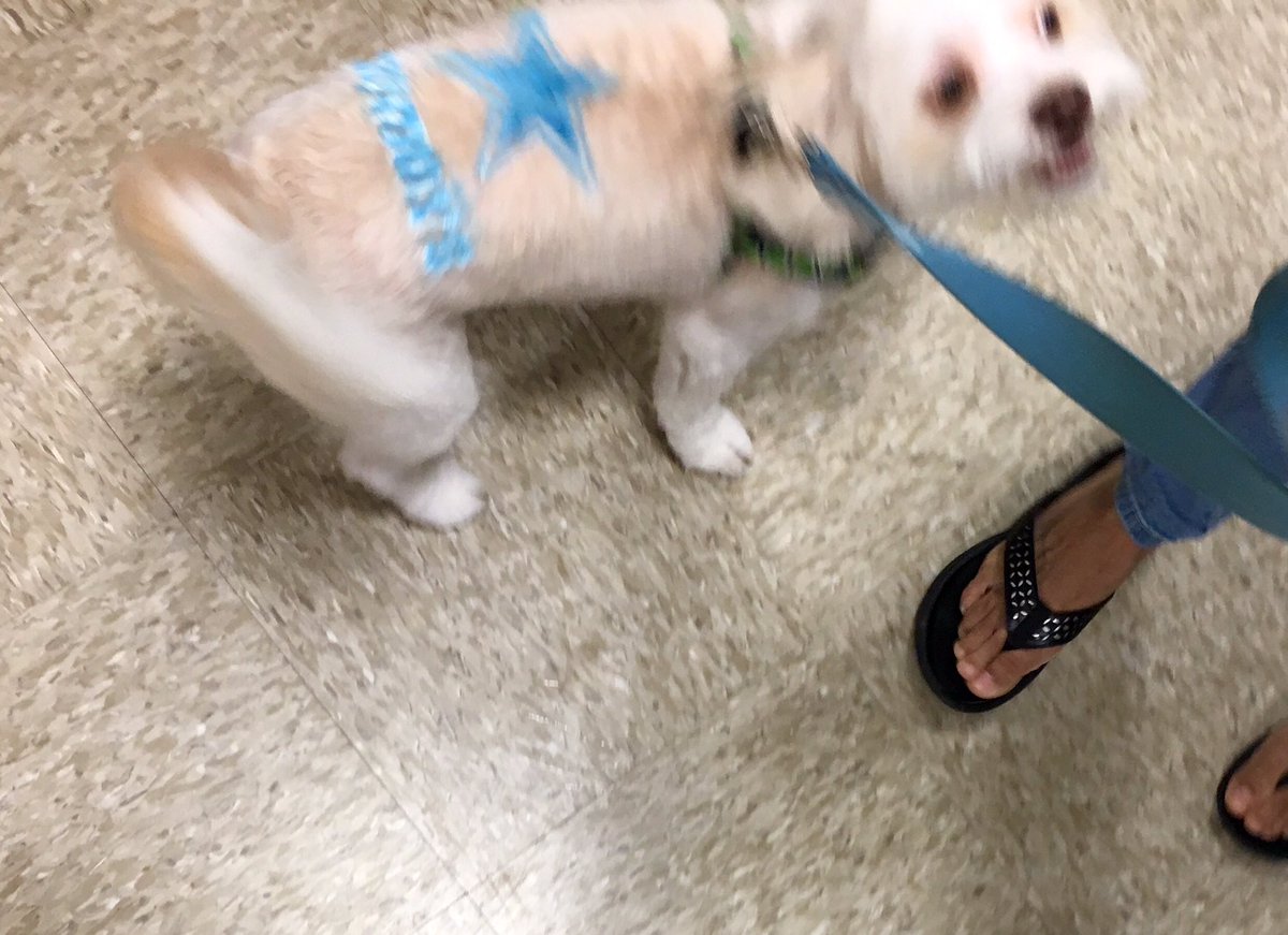 Mueller Petsmart tweet media