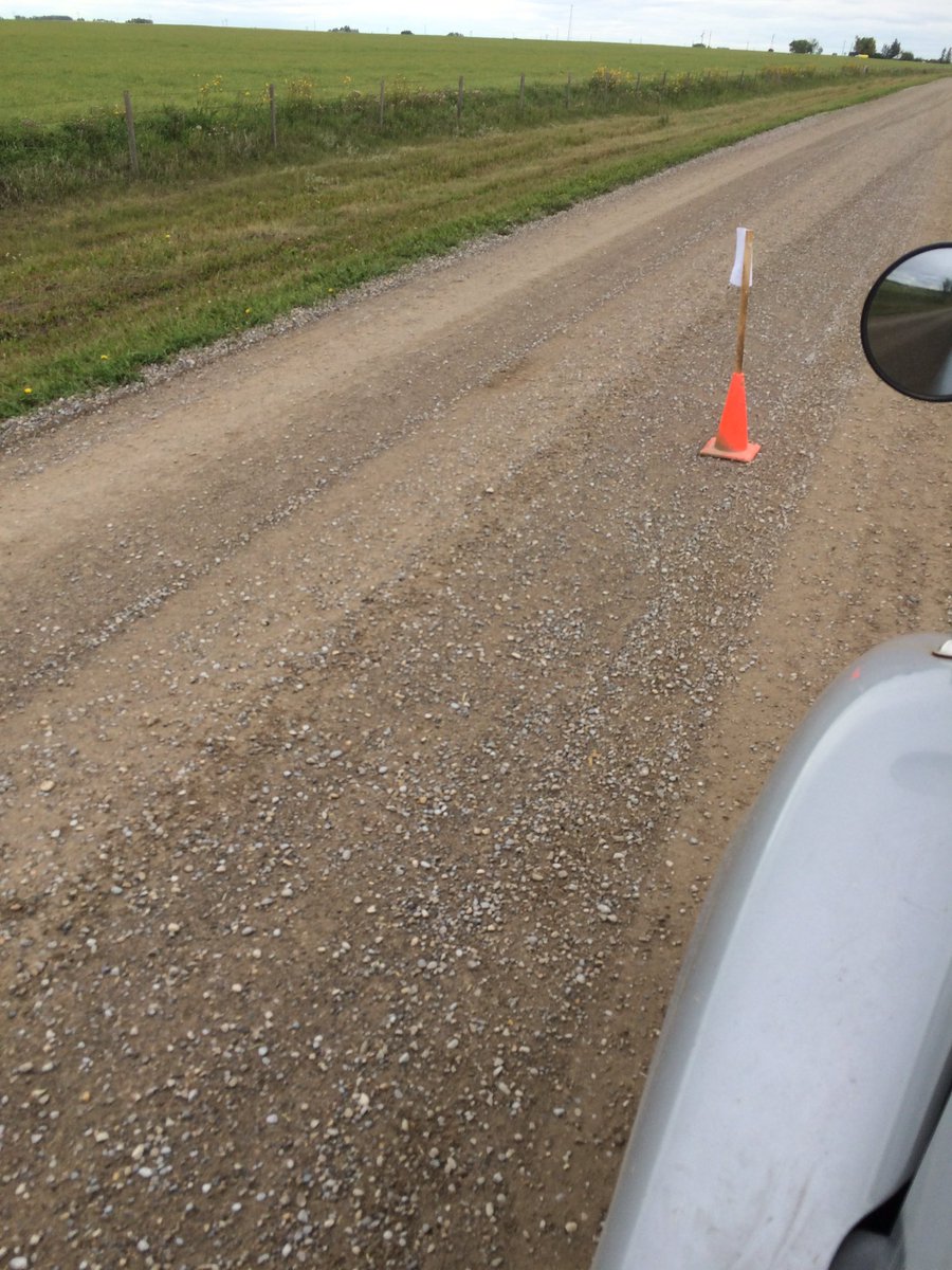 Steve French tweet media