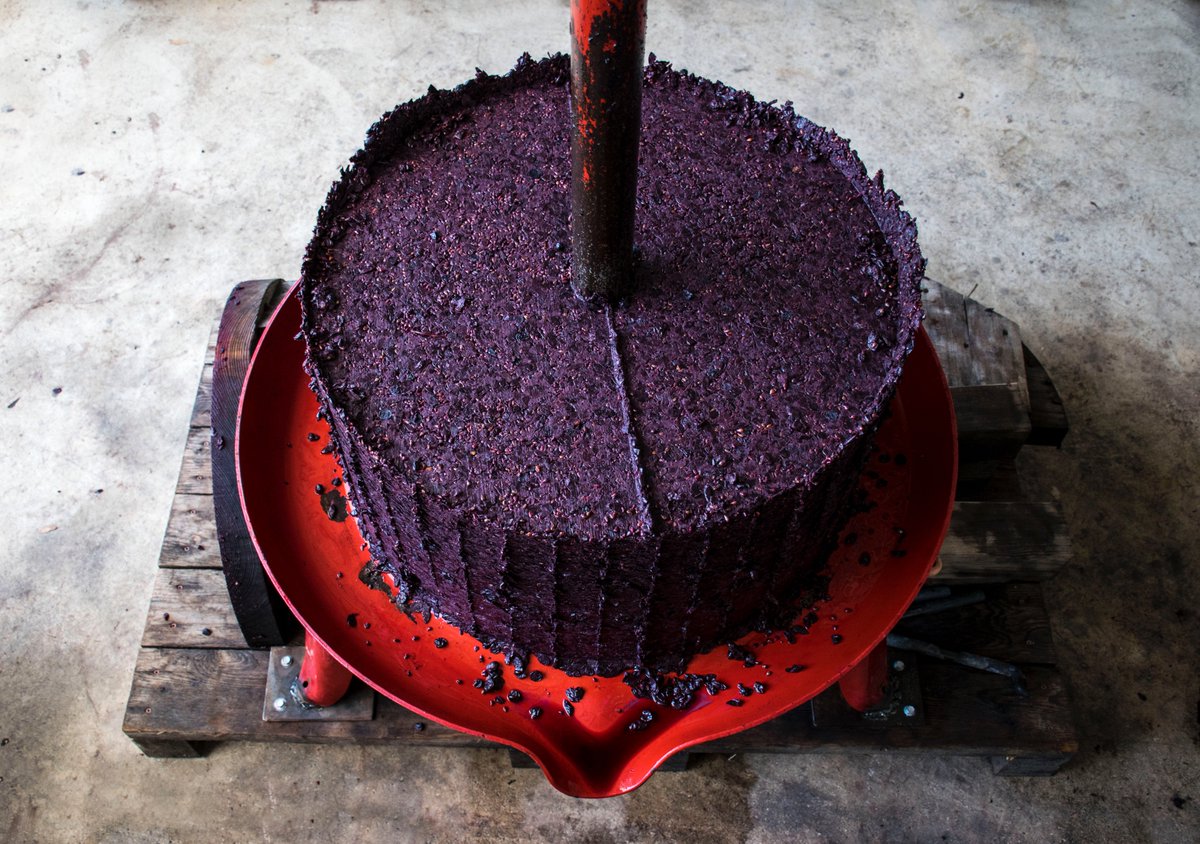 hawksshadow's tweet image. This may be the only kind of cake you wouldn't want to eat! We have lots of left over grape skins from pressing wine