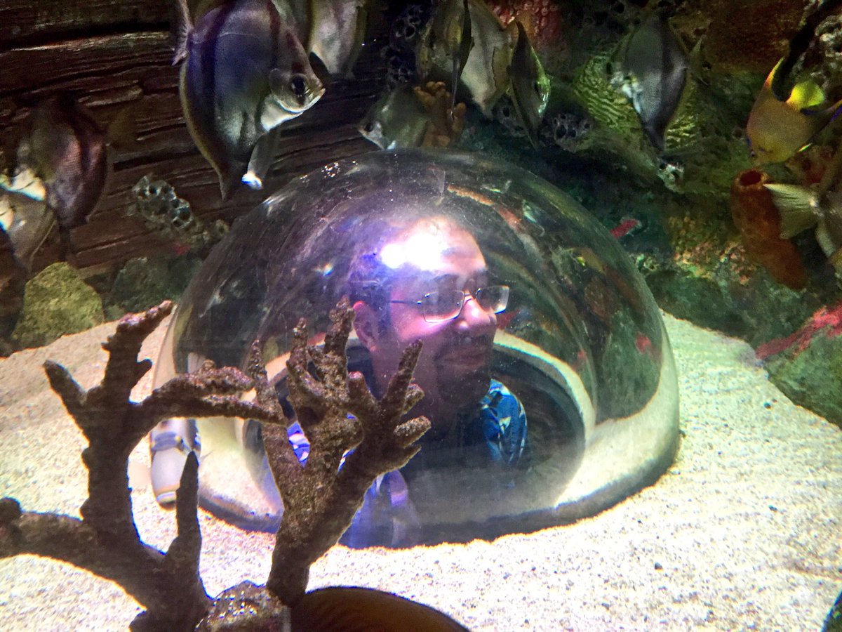 SolomonRDavid's tweet photo. .@WhySharksMatter "in" his element @SEALIFEKC at the opening #AFS146 social 4/n https://t.co/l6EjpKvYaa