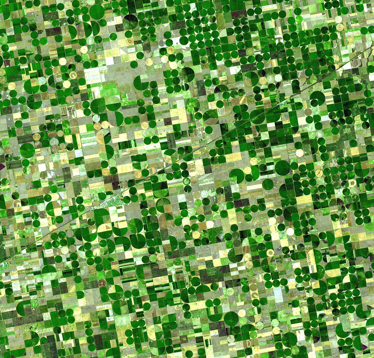 This week's #AgTech Funding Sheet bit.ly/2bpdwHN <a href="/FarmShots/">FarmShots</a> <a href="/DroneDeploy/">DroneDeploy</a> <a href="/crofarm_com/">Crofarm</a> @Sample6tech <a href="/Zzungry/">Zzungry</a>