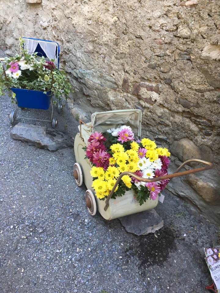 Roberto_VS1's tweet photo. #Le Monde des Fleurs #Blumenwelt #Guttet-Feschel https://t.co/1LlNvSUlex