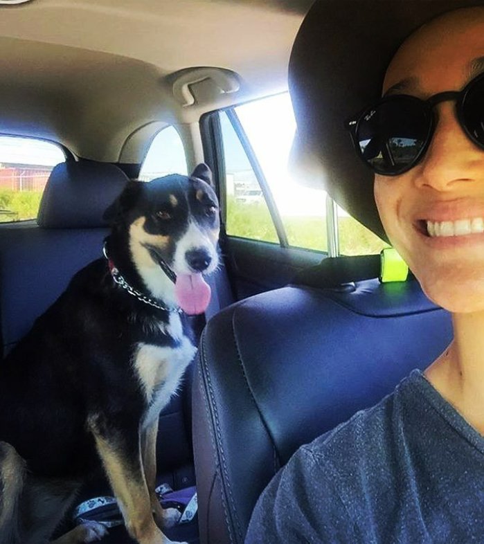 SwanHook_'s tweet photo. Maggie Q adopted a dog again ❤ https://t.co/za94Zm6itI