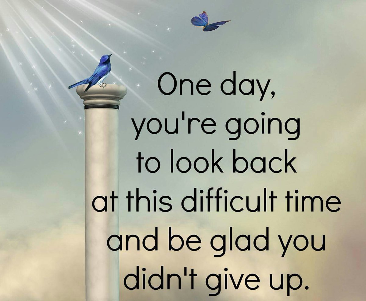 Andy98S's tweet image. 