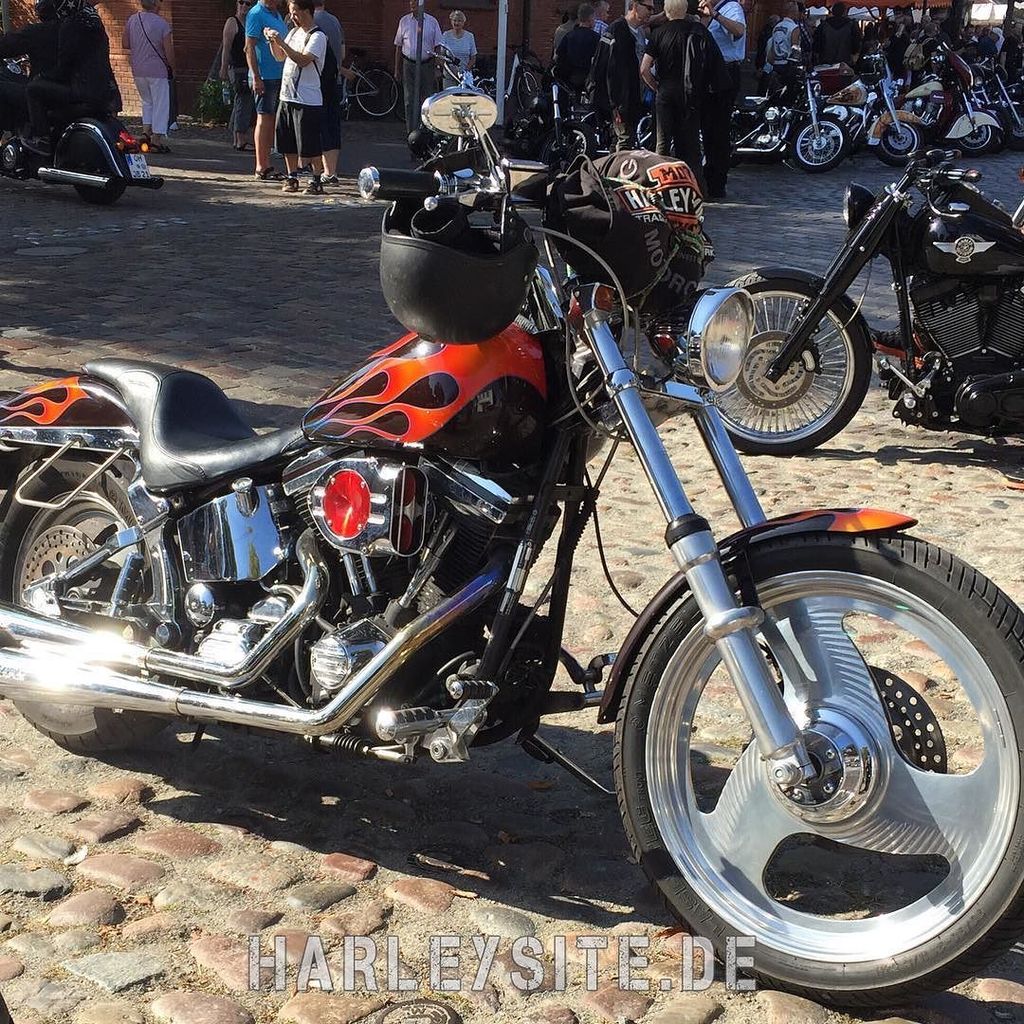 harleysite's tweet photo. Harley-Davidson Softail FXSTC Custom Evolution #harleydavidson #harleys #harley #harleysit… https://t.co/Gdah5RD3hz https://t.co/LxIPGul1J7