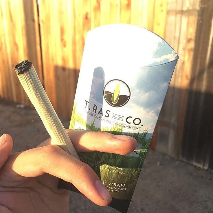 TRasRollingCo's tweet photo. You know the deal @stayhisaac can't get enough #gettingcorny 🌽🌽 https://t.co/9q6GkwWCDl … https://t.co/vQ8IW4kJyI https://t.co/HhJwGjy25N