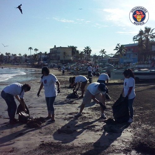 VoluntModelo's tweet photo. Gracias #VoluntariosModelo por unirse en la limpieza de las playas en toda la República Mexicana. #LaPlayaTeLlama 🏖 https://t.co/dPlClJF3B7