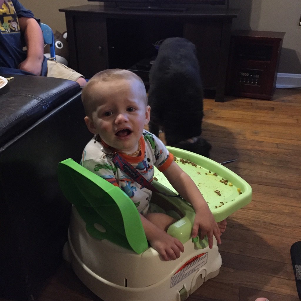 mrsbobb's tweet photo. Dinner time...AKA time for #HenryOttoB to whine and throw food on the floor...at least the dog is happy... https://t.co/BY8Pr11IjS