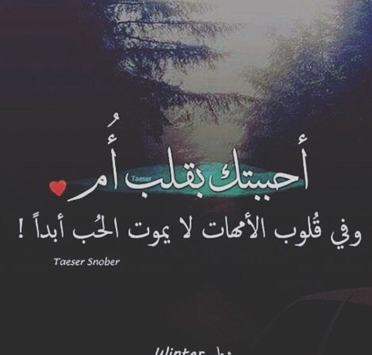 حُبِي لَگ لآ نِهَآية لَه 
وَأَن تَعَدَّدَت مَفآهِيم السَعآدة 
تَبْقَى أنتَ سَبَب سَعآدتِي ✿