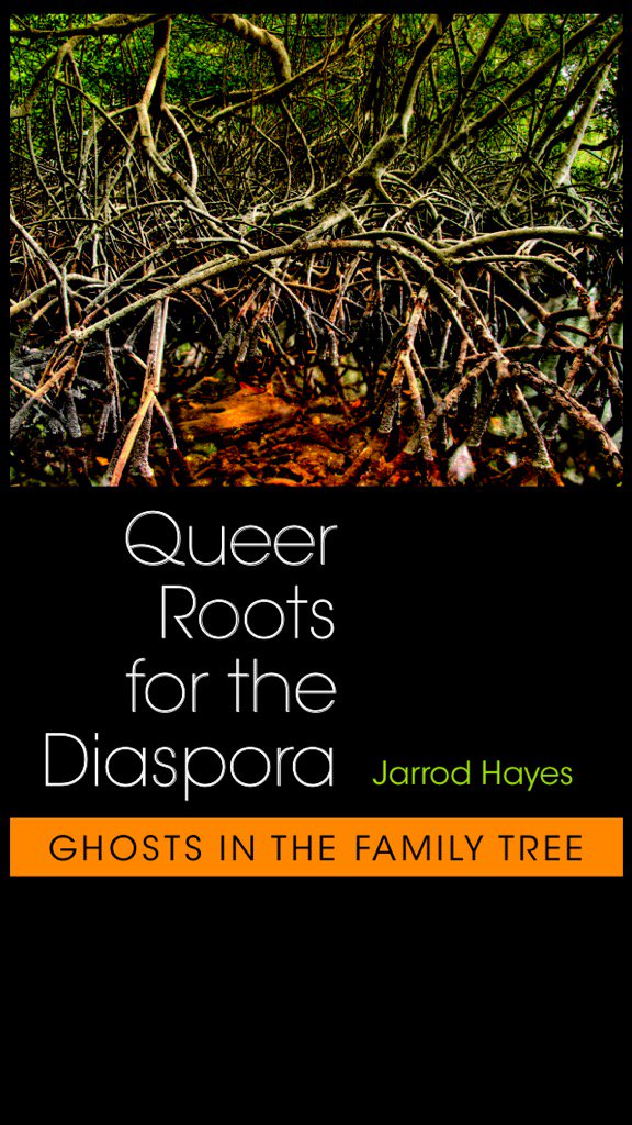 My book is finally out. North Carolina friends can check out the 6th chapter, "Booger Hollar and Other Queer Sites"