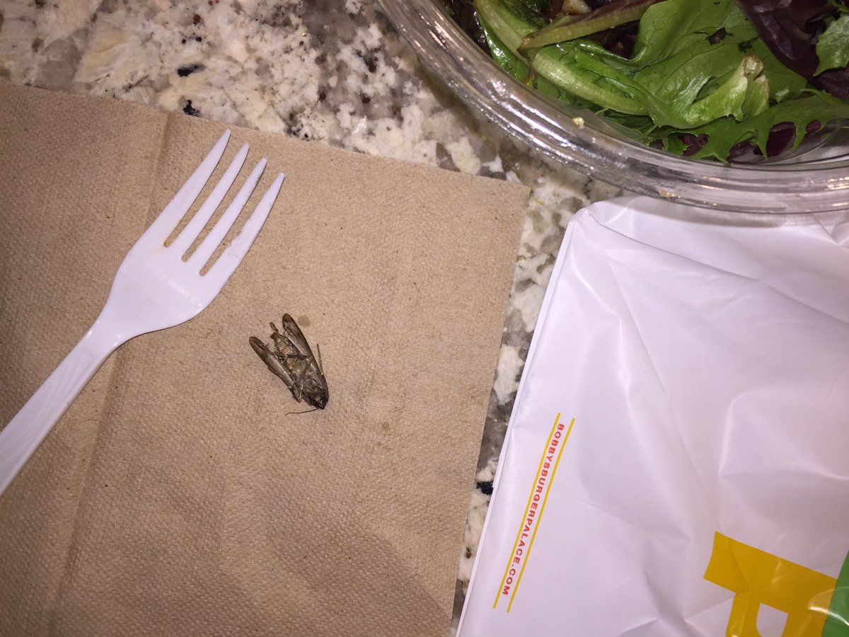 PSA: Found this in <a href="/AceFuture/">Ace Future</a> salad last night <a href="/bobbysburgerpal/">Bobby'sBurgerPalace</a> #LasVegas PEOPLE WASH YOUR LETTUCE 😑