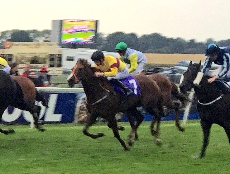 JD_Wigley's tweet photo. A great day @Beverley_Races with the family. Great to see #Bondbombshell out for #TheTrendyLadies https://t.co/V3V8xozwSo