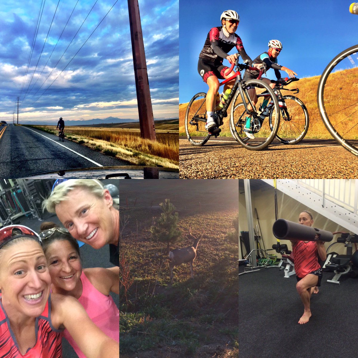 jodiestimpson's tweet photo. Another good few days ticked of in Boulder thanks to @sirilindley and the team @ecfitboulder @lisastudach #lovingit https://t.co/MnQIvI6UTG
