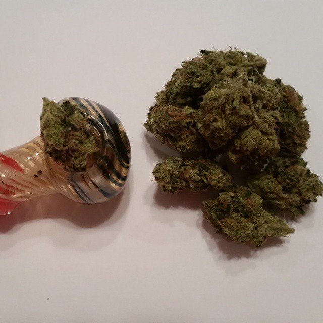 FoljambeStella's tweet photo. I'm not addicted to weed, just dedicated :) https://t.co/d9MmaeVMN4
