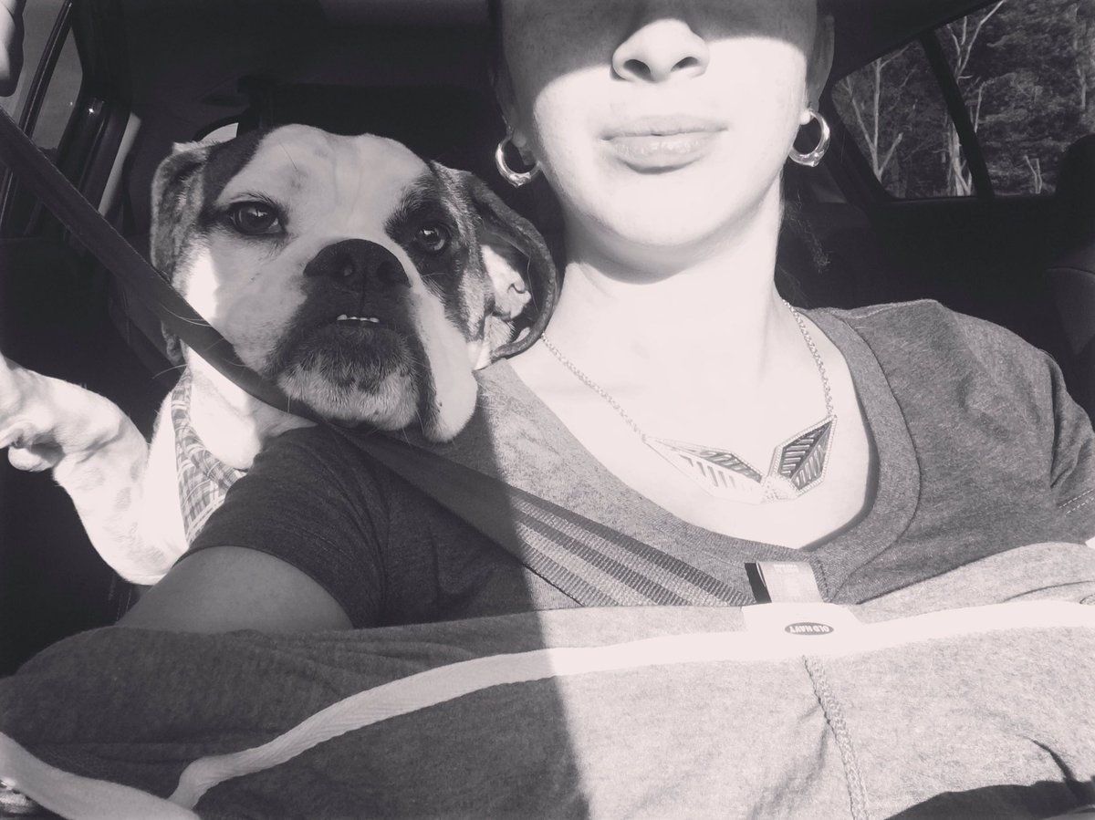 Liidancer's tweet photo. Toby has decided that he would like spend this portion of the trip across my back. #TheHamrahsGoSouth https://t.co/O5xKZOZgr0
