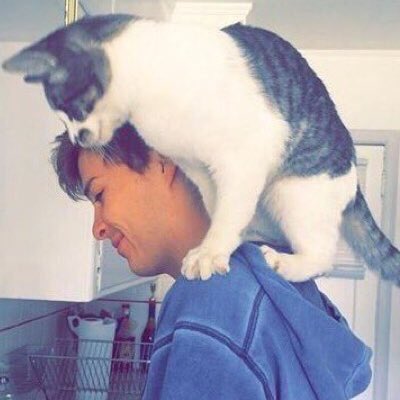 TheSassBlonde's tweet image. The kitty is my favorite.