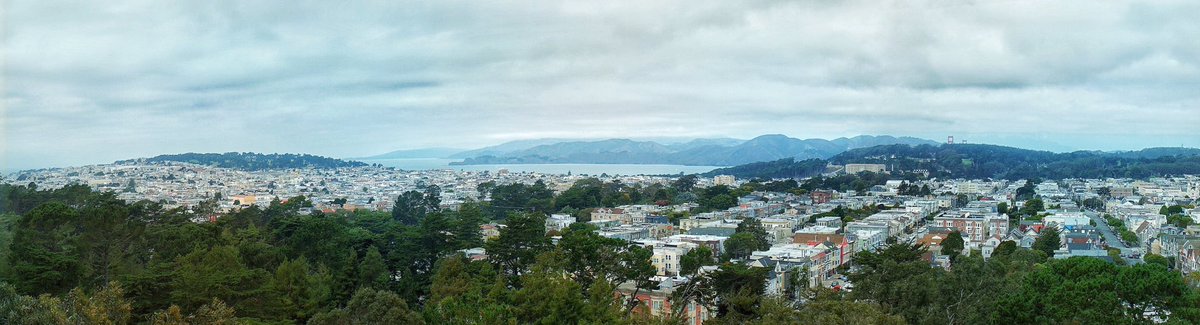 MayhemStudios's tweet photo. Great view from the @deyoungmuseum Tower! #SanFrancisco #mayhemSF #photography 😁📷 https://t.co/ZVTLvXgCcv