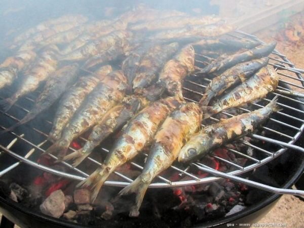 Profitez de la sardinade ce Dimanche 28 août sur le port d’Etaples 🐟😃