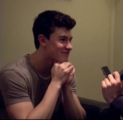 shawnlovesbee's tweet photo. #shawnmendesisunproblematic https://t.co/TeuLRVtniP