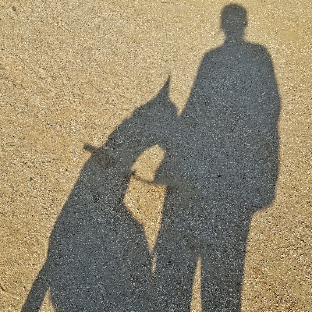 My #trailrunning partner. Too fast for me' someone get me a turtle, plz.  #lakeskinner #temecula #Trailwalker #chase