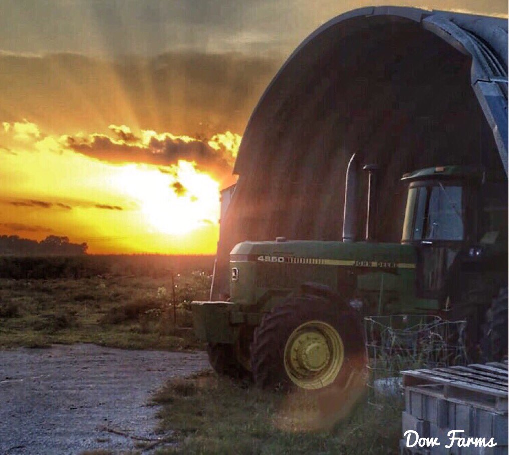 M_D_Original's tweet photo. Sunset over Dow Farms https://t.co/hKMpXAvuwl