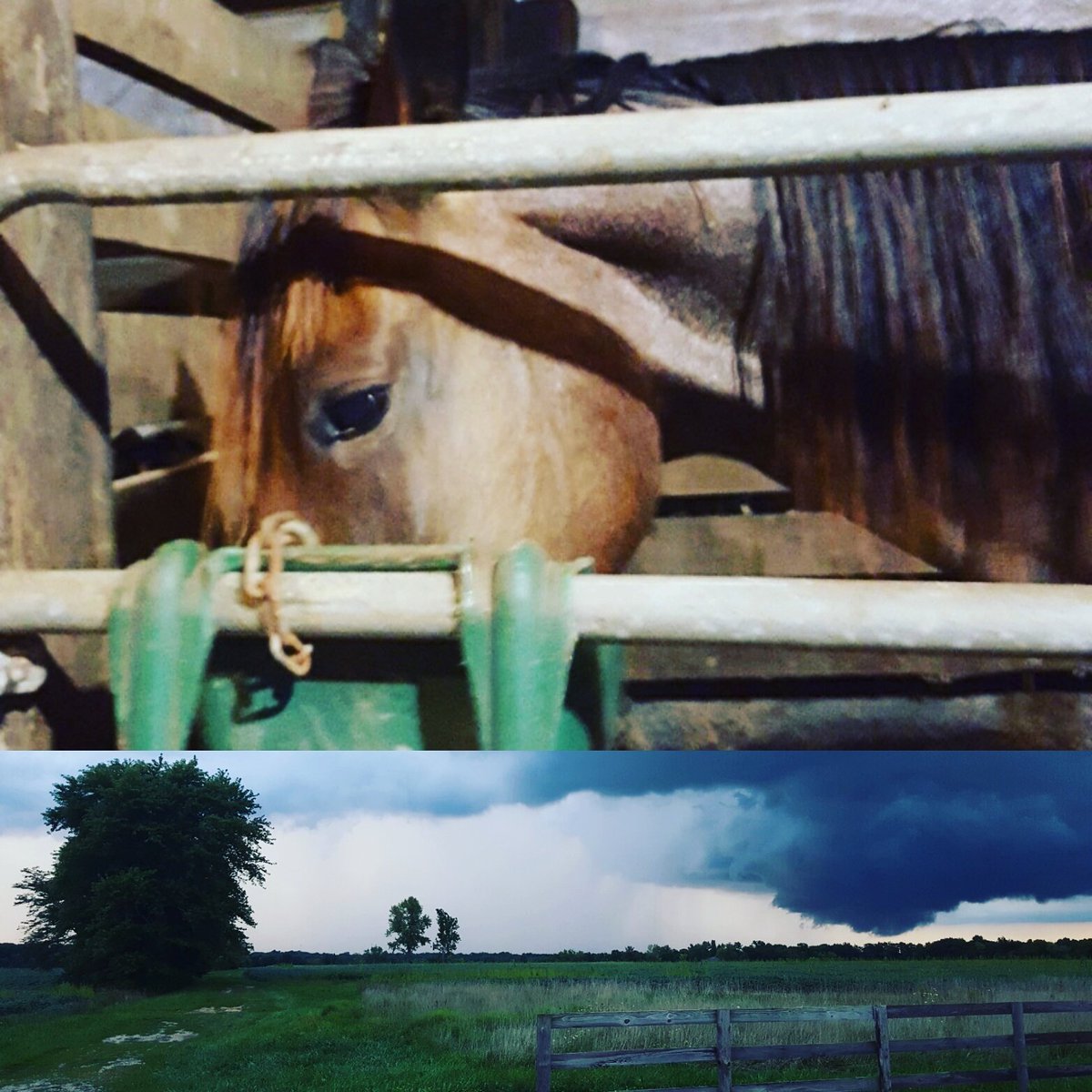 devandrose's tweet image. We beat out the storm!  Rose killed her workout and is now face deep in #nutrenasafechoice #perform .