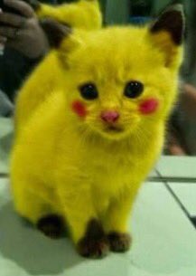 KRMOficial's tweet photo. @Rubiu5 te regalo mi pikachu por un limón 4K https://t.co/MudO911kXx