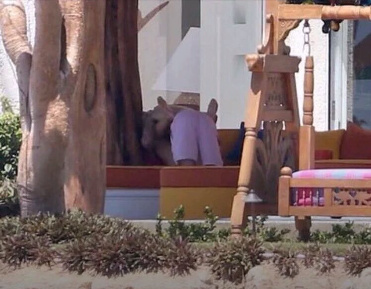 benzofreaks's tweet image. A vontade de rir é grande mais a de chorar é maior #JustinBieberNaZLFM