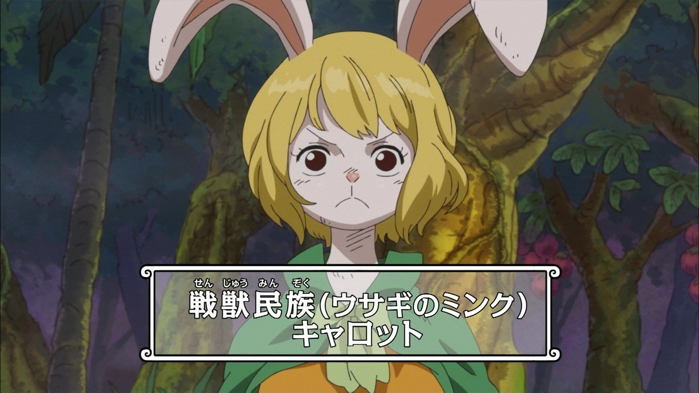 嘲笑のひよこ すすき 犬嵐銃士隊 うさぎのミンク キャロット 声は しゅごキャラ の日奈森あむ 僕は友達が少ない の柏崎星奈などの役でおなじみの伊藤かな恵さん ワンピース Onepiece T Co Vu9ns1kfgi Twitter