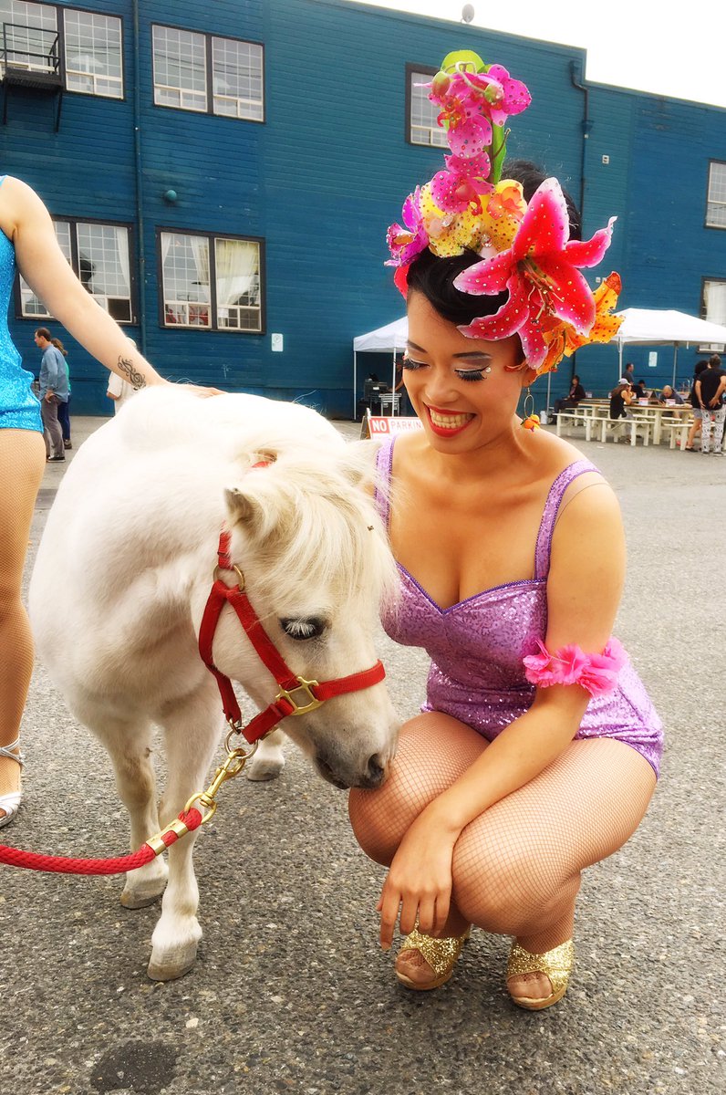 ShanghaiPearl's tweet photo. All that matters is I made friends with a pair of miniature ponies today! #bestday #tinyponies 🦄🦄 https://t.co/fhcBkTAfSI