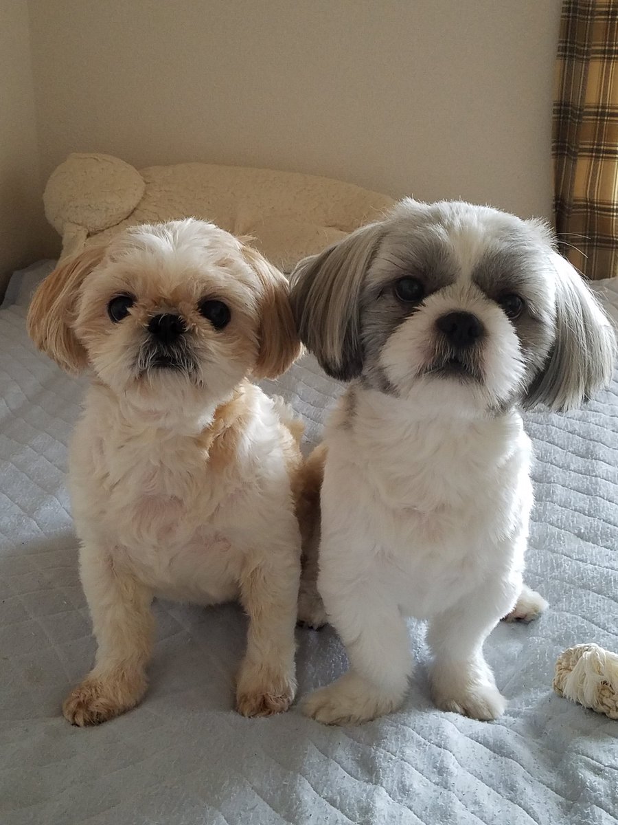 携帯やっと、変えました✨