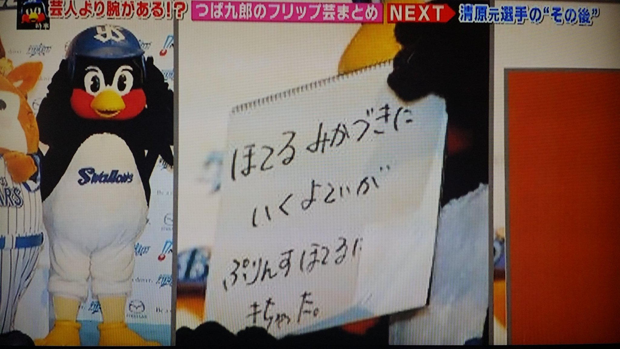 つば九郎 フリップ まとめ Enercell つば九郎 フリップ まとめ Enercell